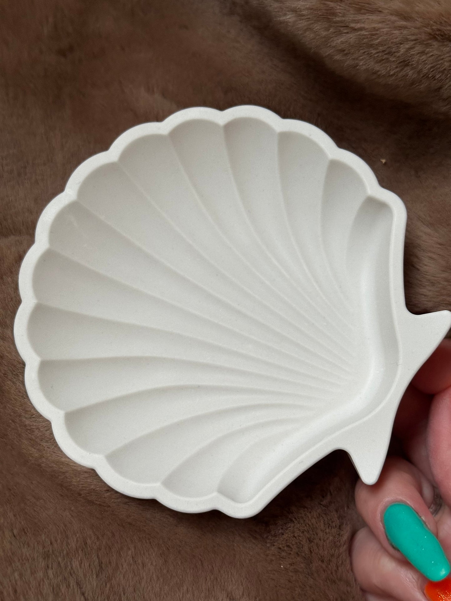 Aufbewahrung von Schmuck / Muschelschale