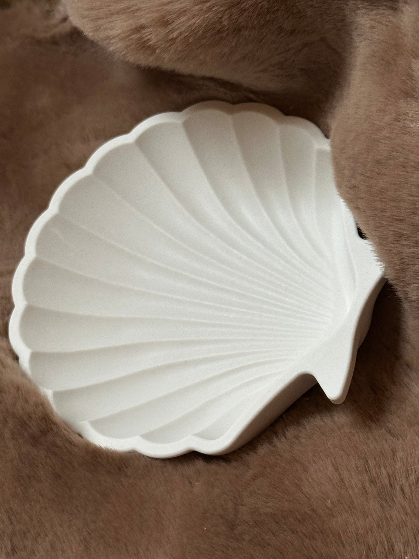 Aufbewahrung von Schmuck / Muschelschale