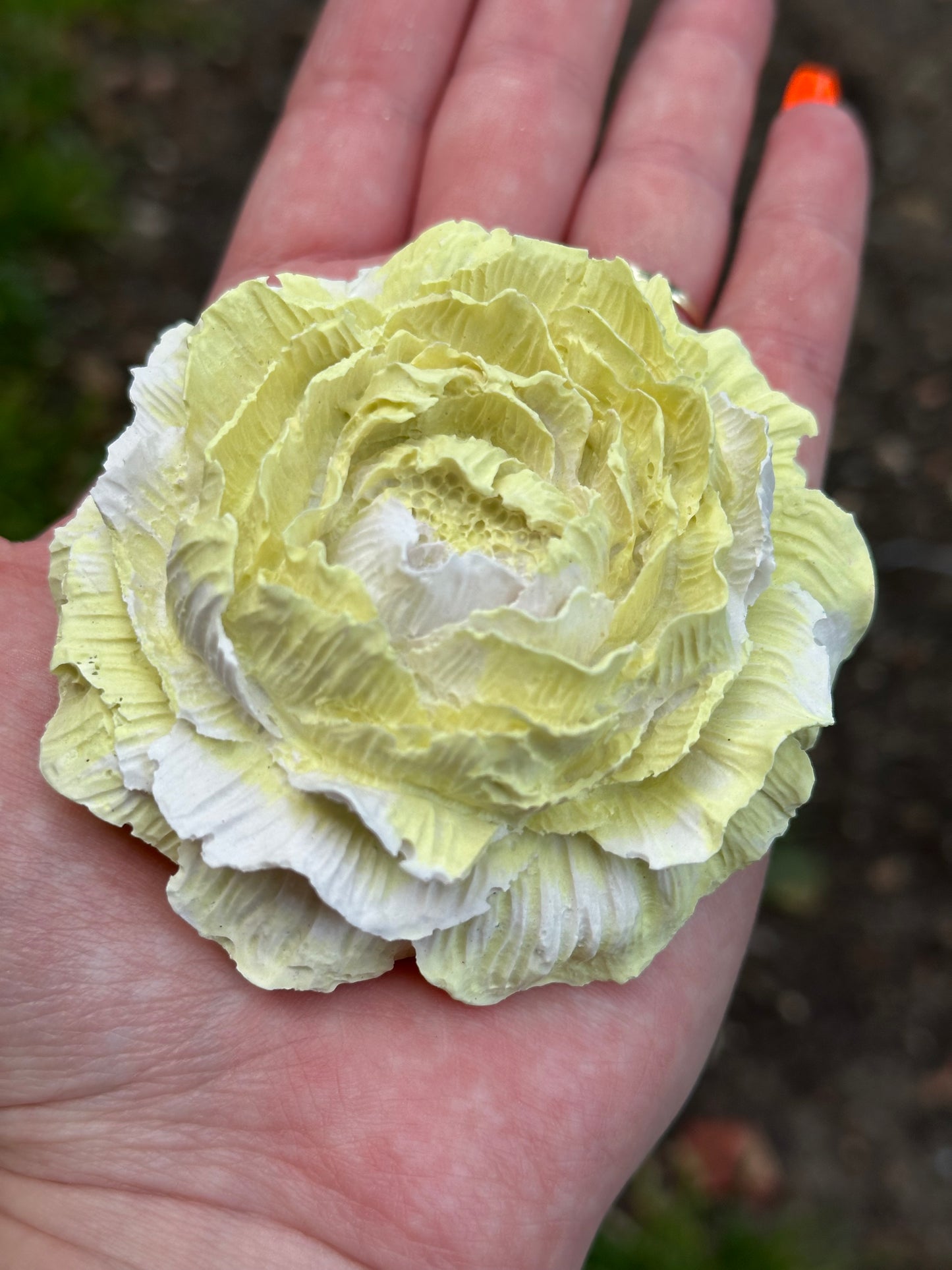 Dekoration/Pfingstrose aus Keraflott in Groß und klein + verschiedene Farben