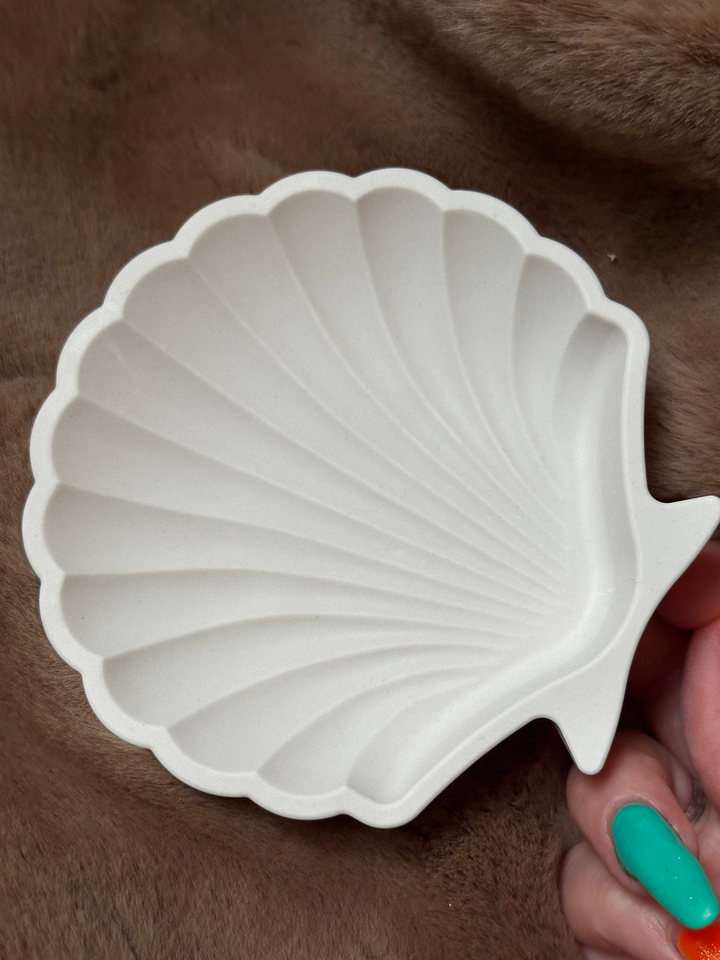 Aufbewahrung von Schmuck / Muschelschale